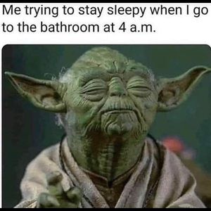 Meet your Posher, Tristan